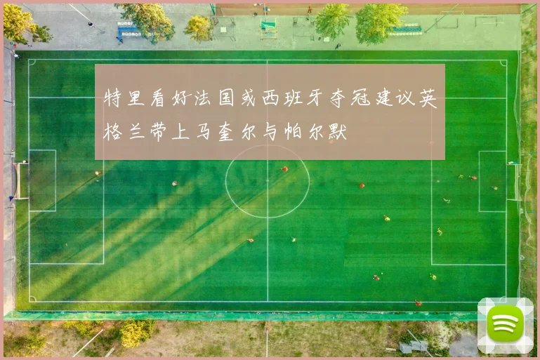 特里看好法国或西班牙夺冠建议英格兰带上马奎尔与帕尔默